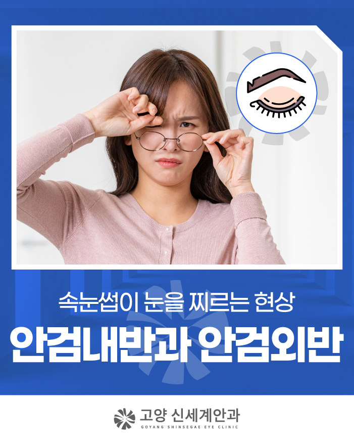 도래울안과, 자꾸 찌르는 눈꺼풀, 그냥 넘겨도 괜찮을까?
