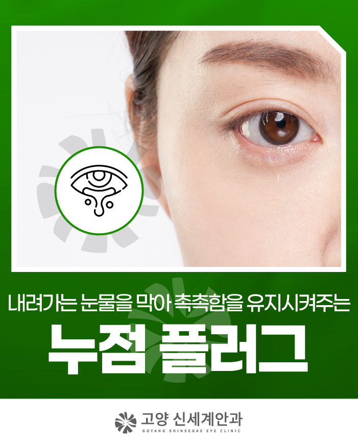 고양 안구건조증, 촉촉함을 유지시켜주는 누점 플러그