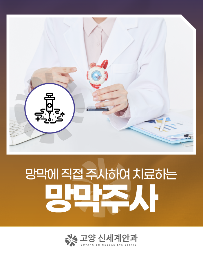 고양 망막주사, 왜 점안약만으로는 안 되는 걸까?